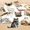12 Pack: Cats Die Cut Stickers by Recollections™